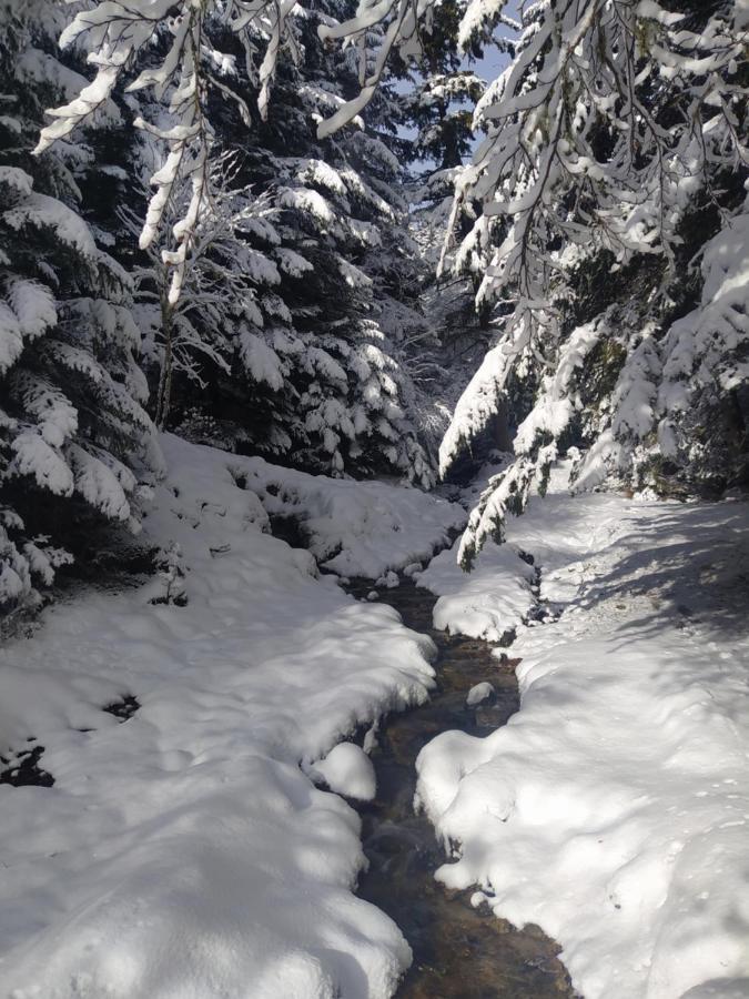 4 Personnes Au Pied Des Piste Plateau De Bonascre - Ax 3 Domaines Ete Hiver Appartamento